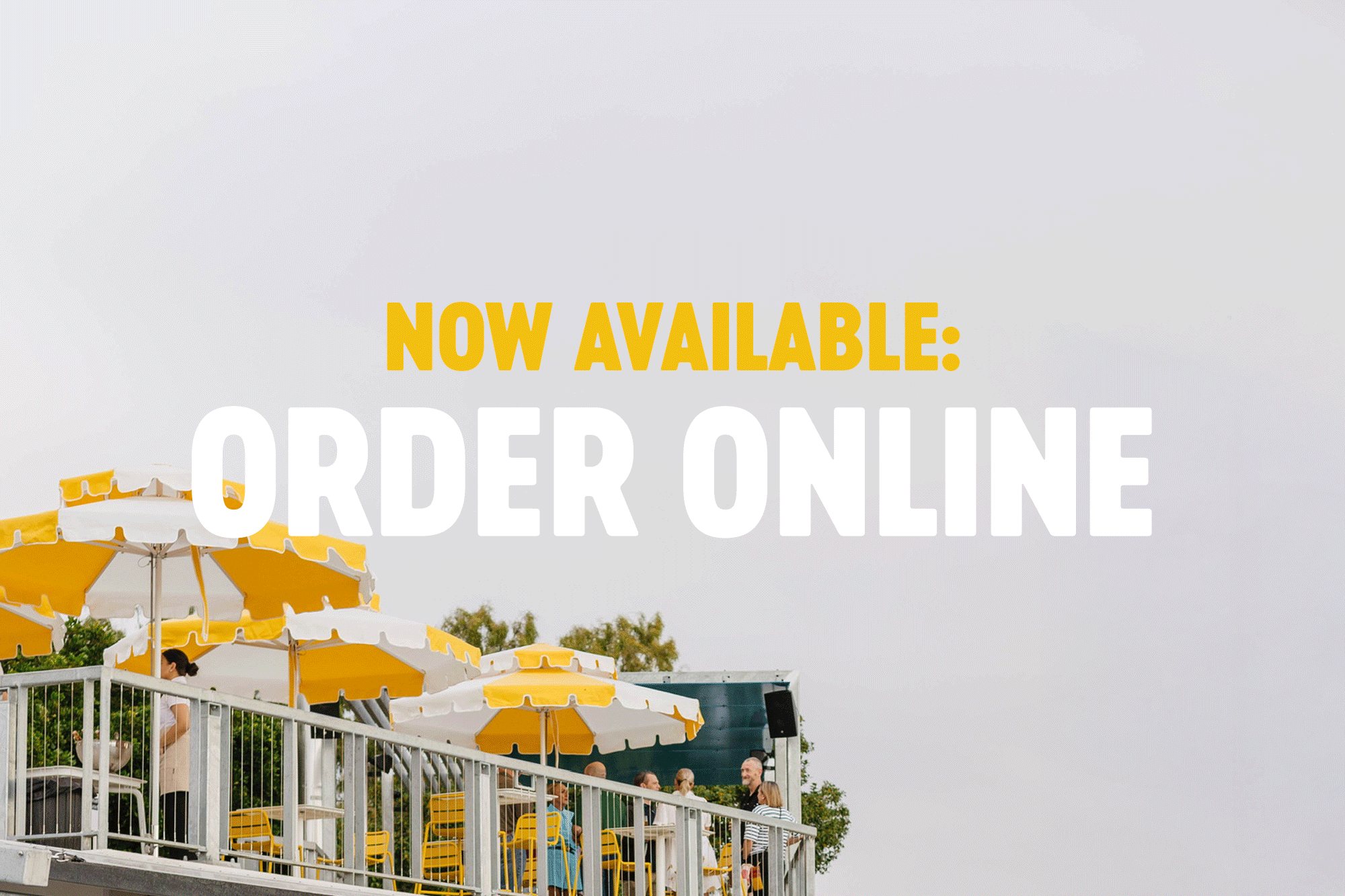 Pavilion-homepage-March26